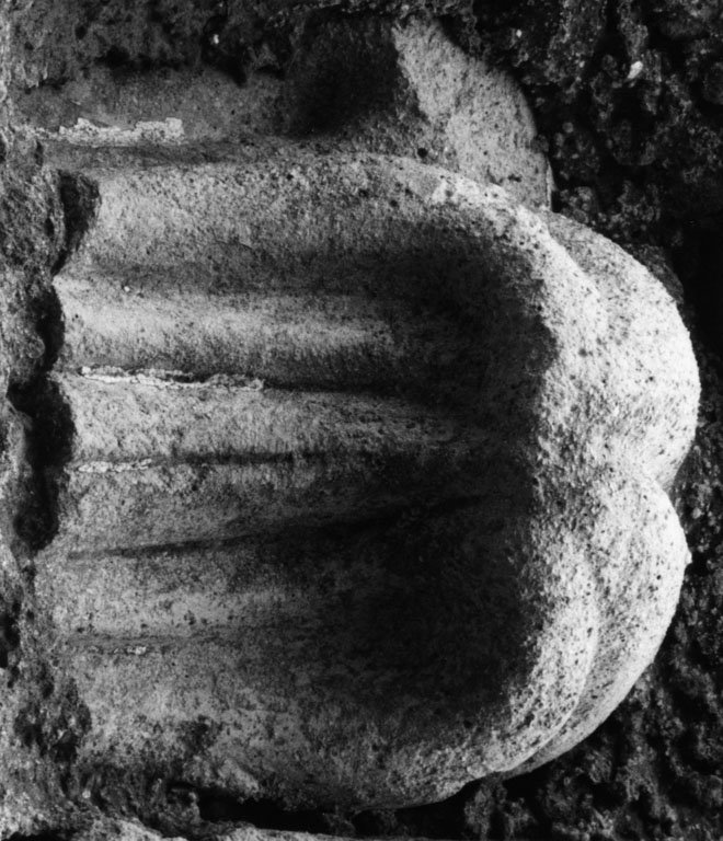 Motivo decorativo vegetale (rilievo, frammento) - ambito romano (?) (secc. IX/ X
